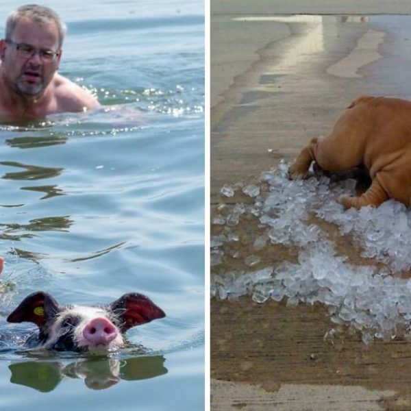 muito calor capa