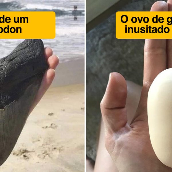 mundo