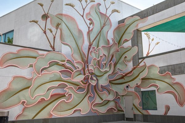 mural de flor capa