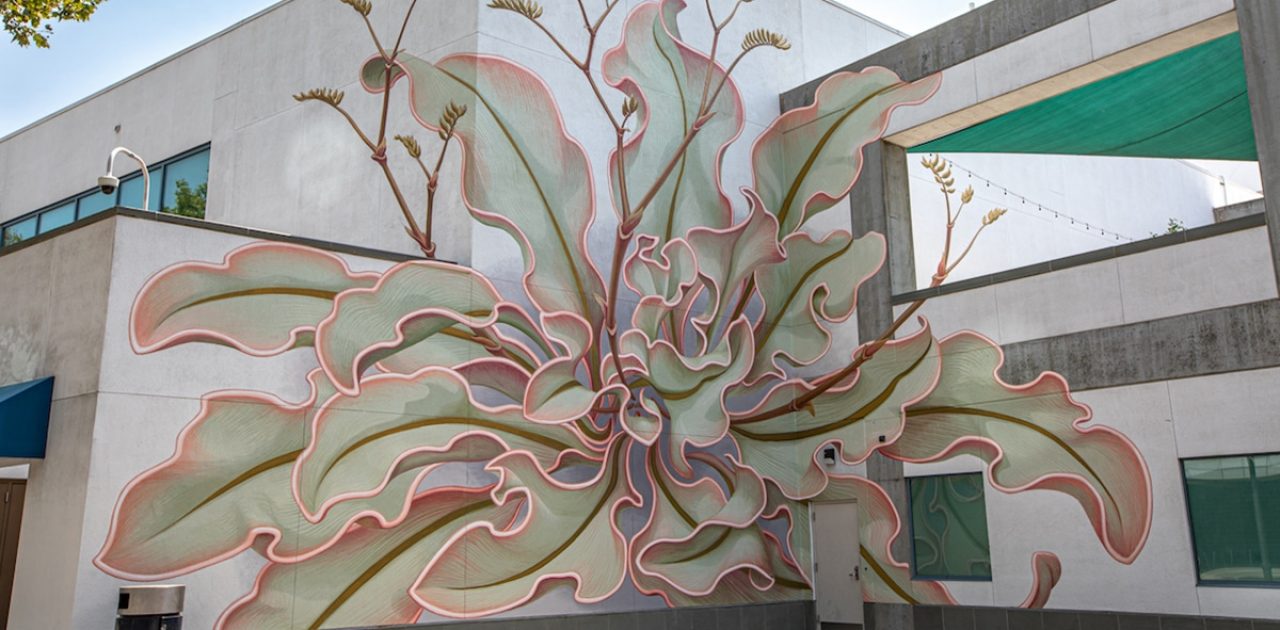 mural de flor capa