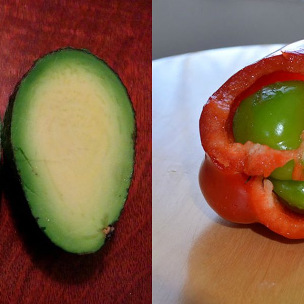 mutacoes alimentos
