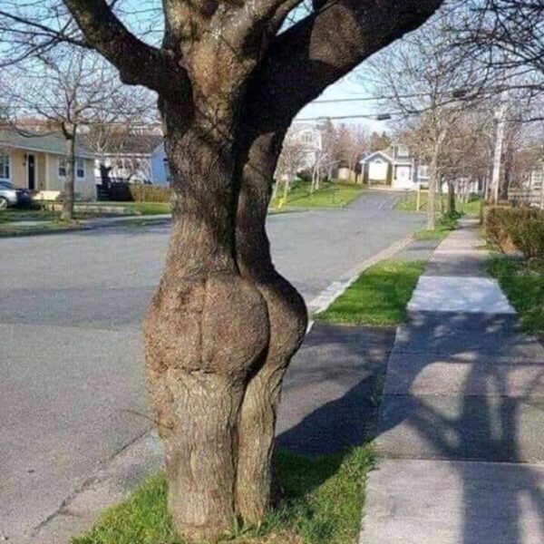 mãe natureza 01