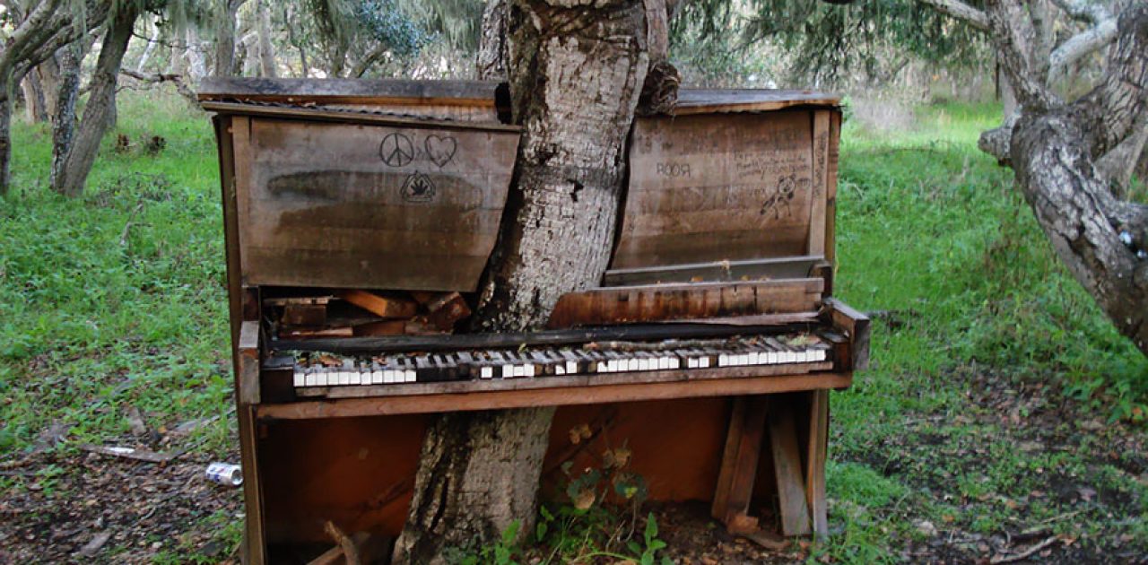 A ávore de piano, Califórnia.