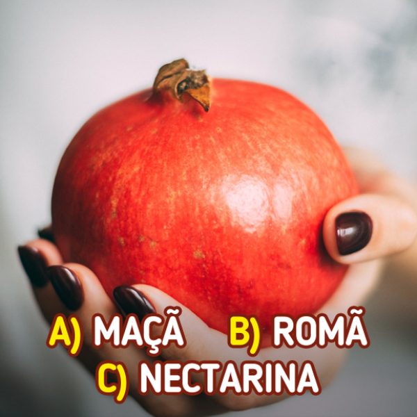 nome de alimentos 25