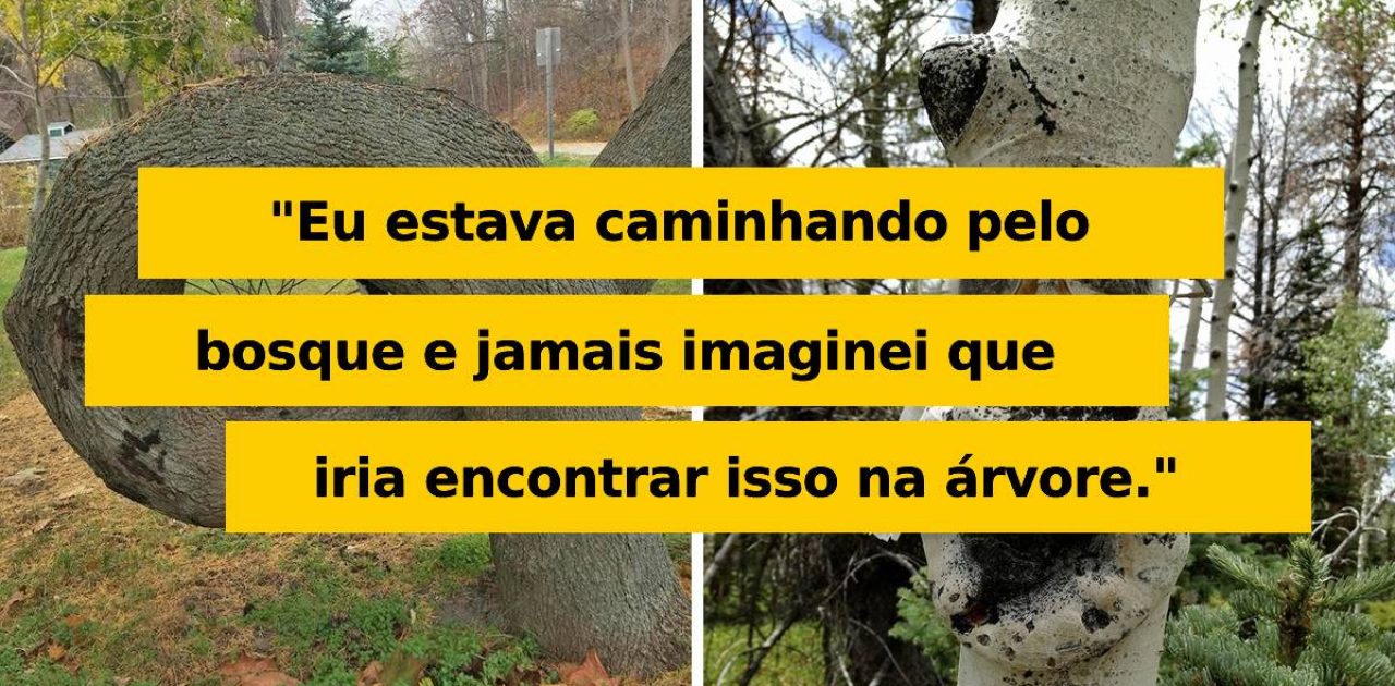 objetos abandonados capa