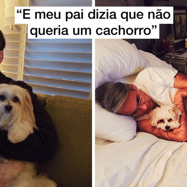 pais com cão capa