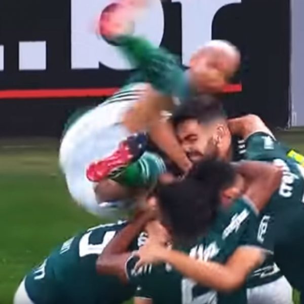 palmeiras