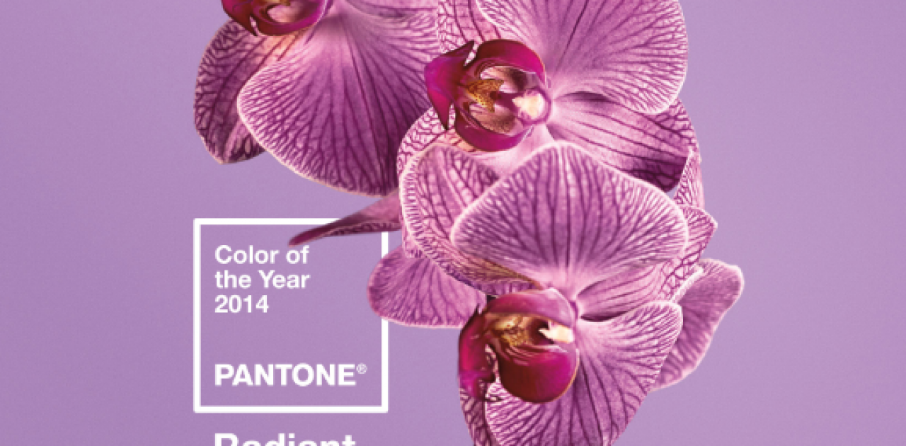 pantone color of 2014