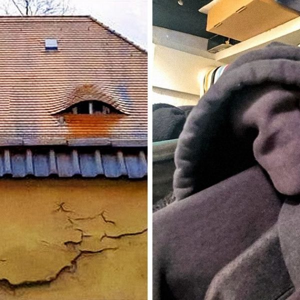 pareidolia capa