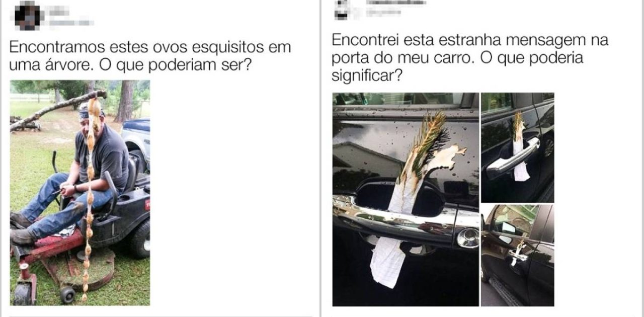 perguntas na internet capa