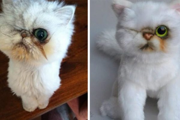 pet-copy-custom-plush-toys-cuddle-clones-24