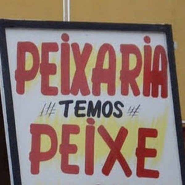 placas divertidas 14