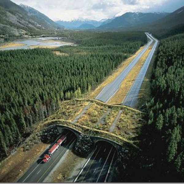 Banff National Park, Canadá