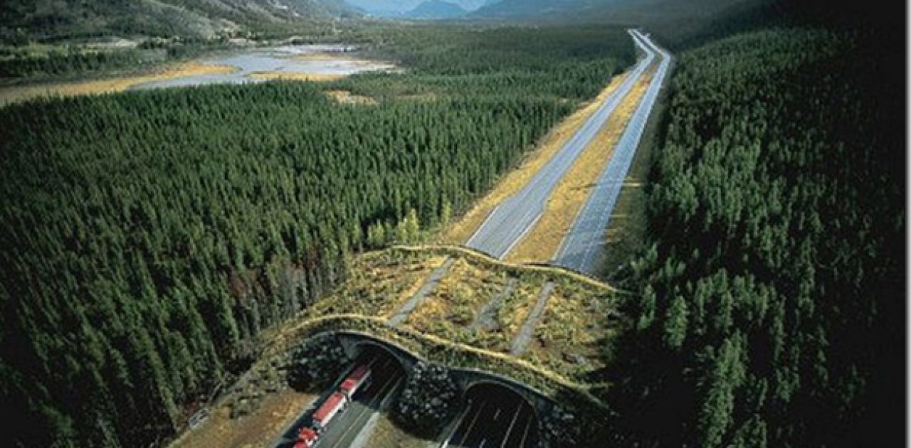 Banff National Park, Canadá