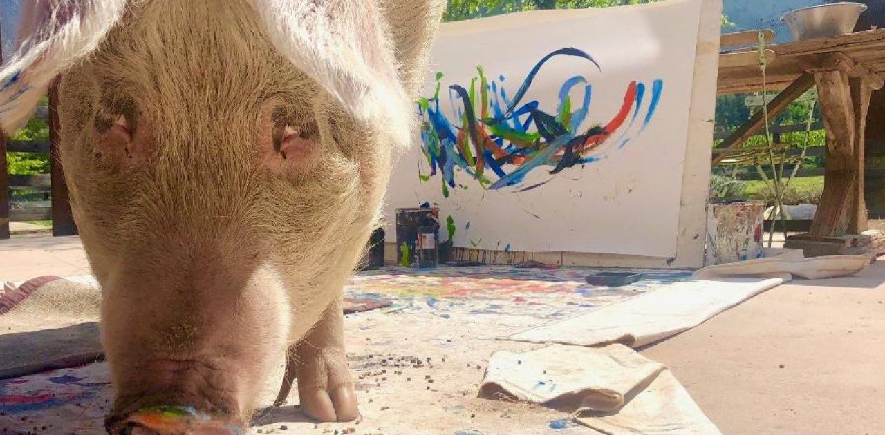 porquinha pintura capa