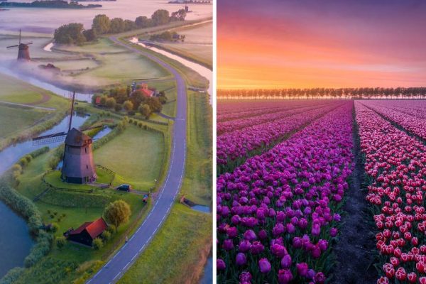 primavera na Holanda capa