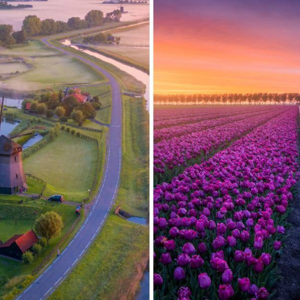 primavera na Holanda capa