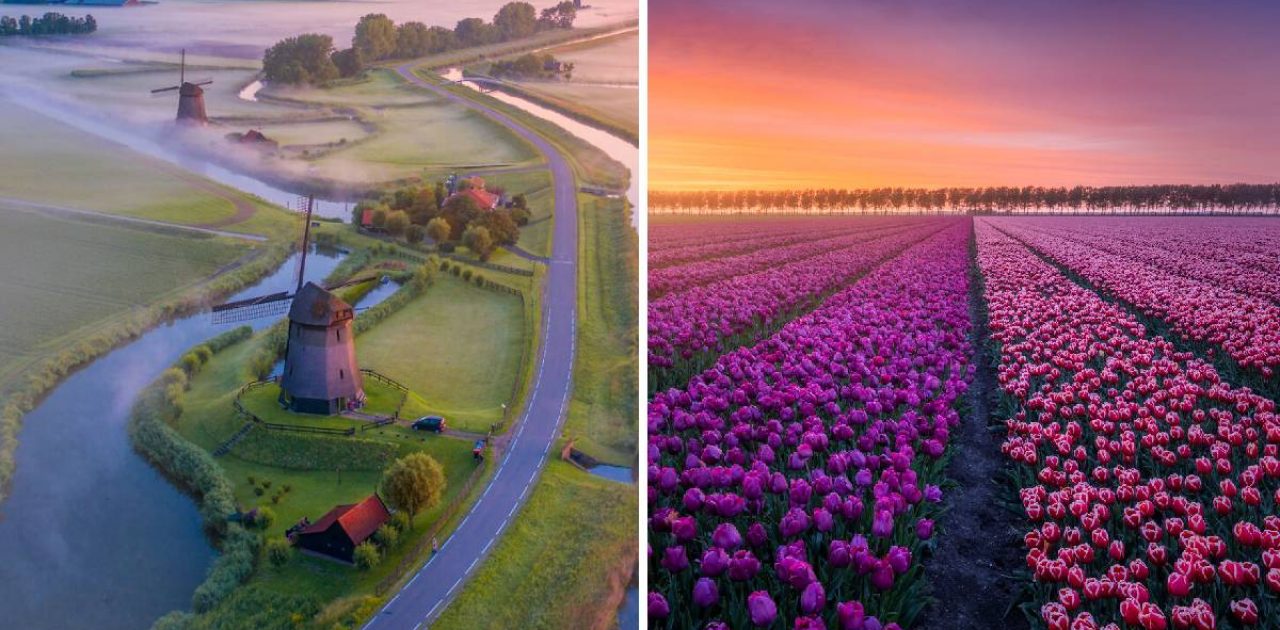 primavera na Holanda capa