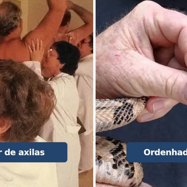 profissões estranhas capa