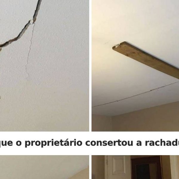 proprietários e inquilinos capa