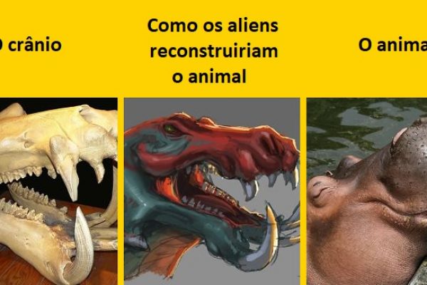 reconstruir animal capa