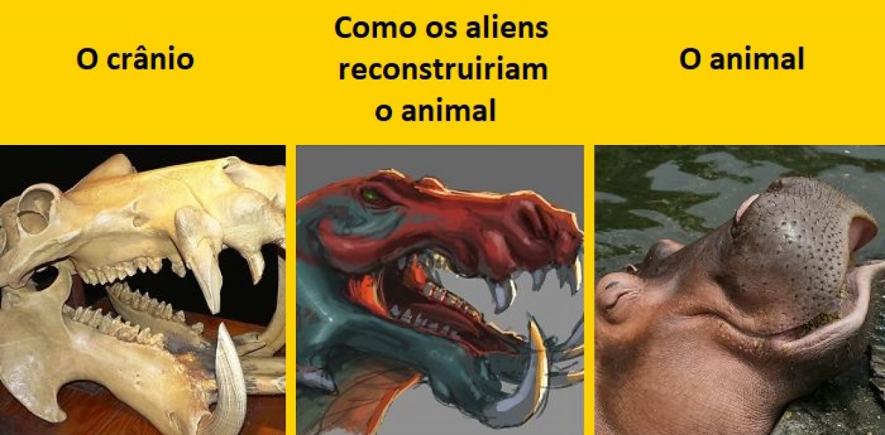 reconstruir animal capa