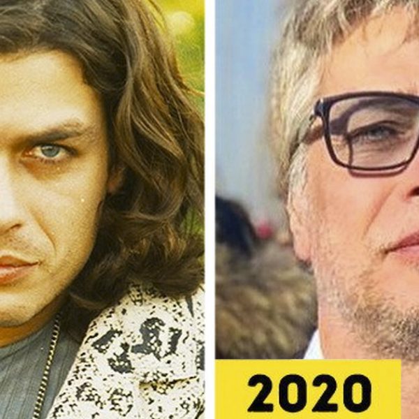 rei do gado