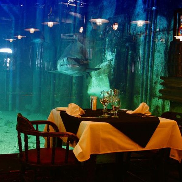 restaurante embaixo d'agua 05