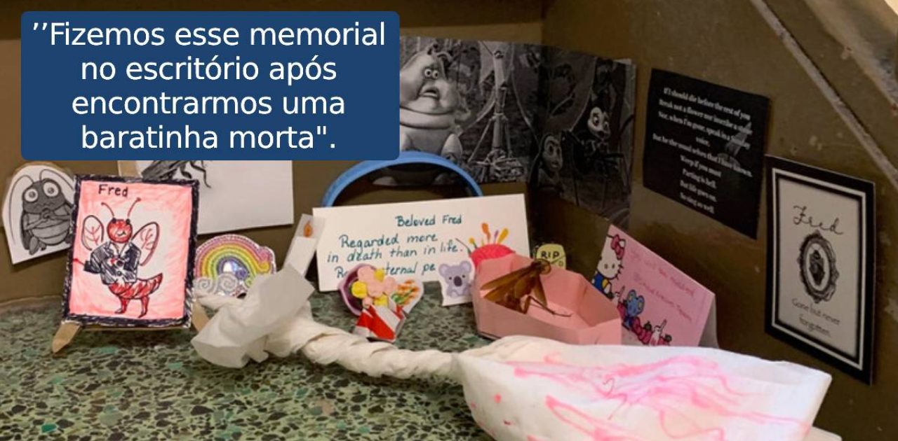rotina de escritório capa