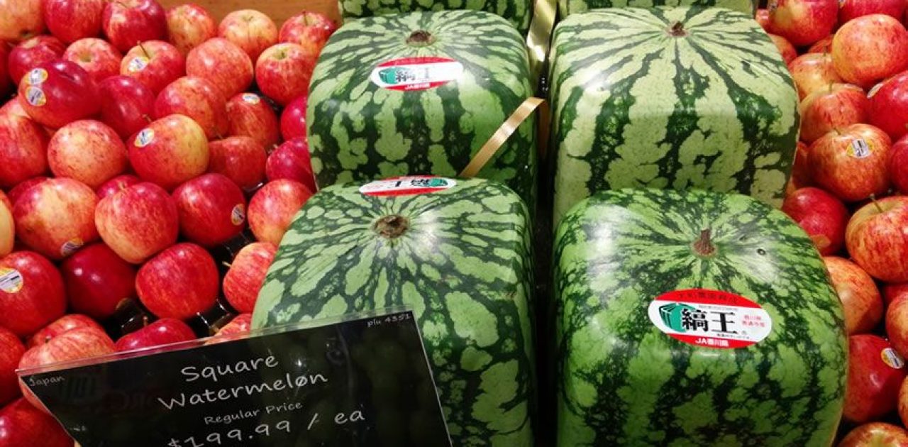 sandia-cuadrada-japon-curioso-foto-curiosa-curiosidades-alimentos