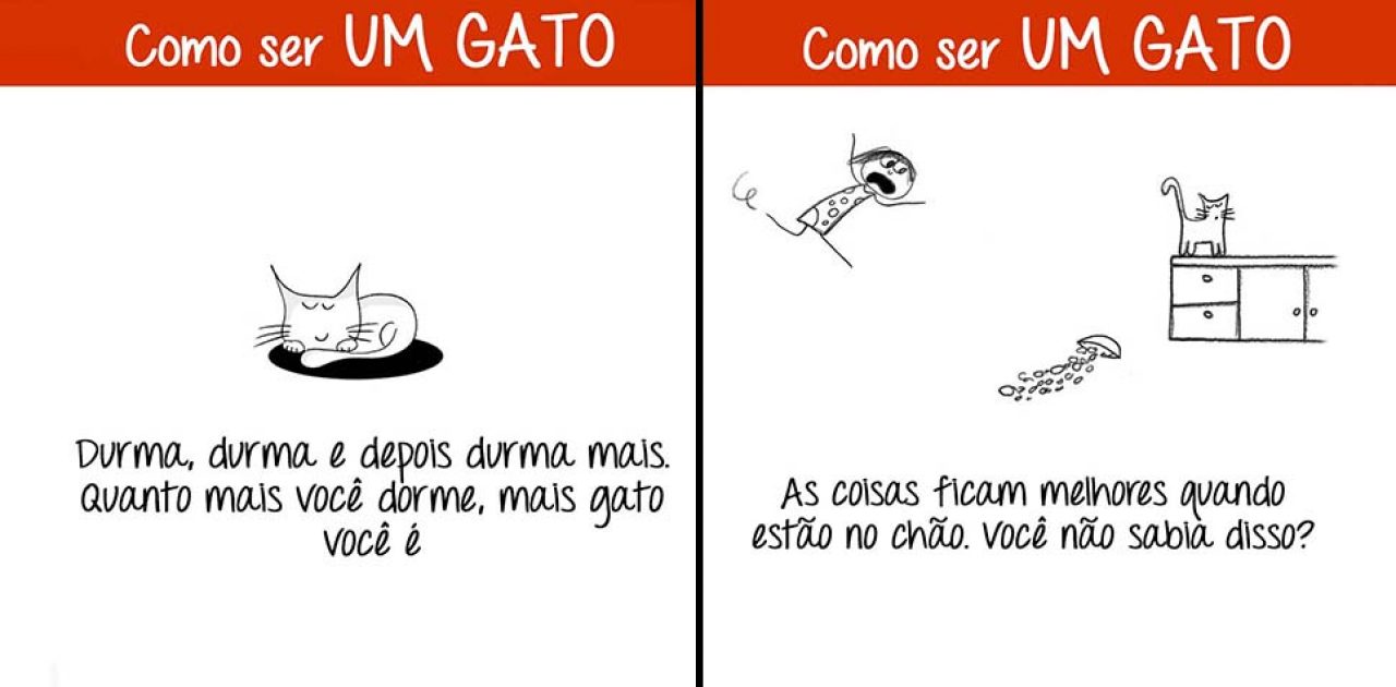 ser um gato capa