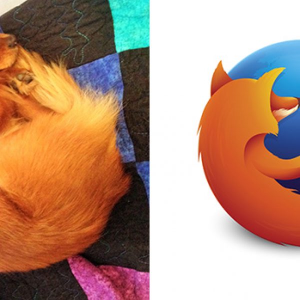 similar-things-look-alike-20__700