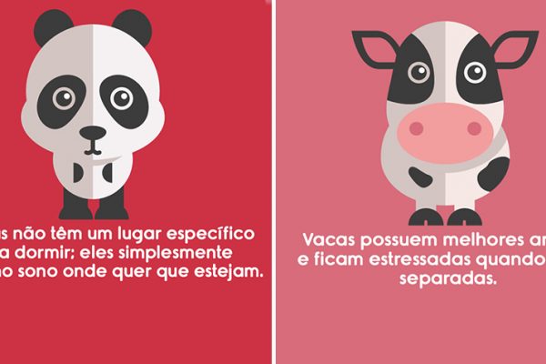 sobre animais capa