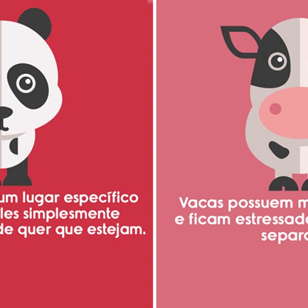 sobre animais capa