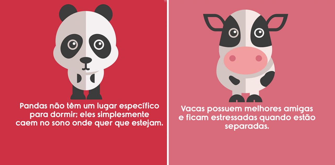 sobre animais capa