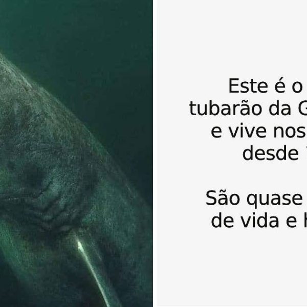 surpresa da natureza capa