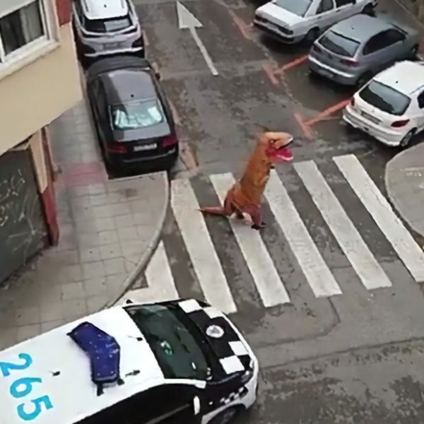 t-Rex França 01