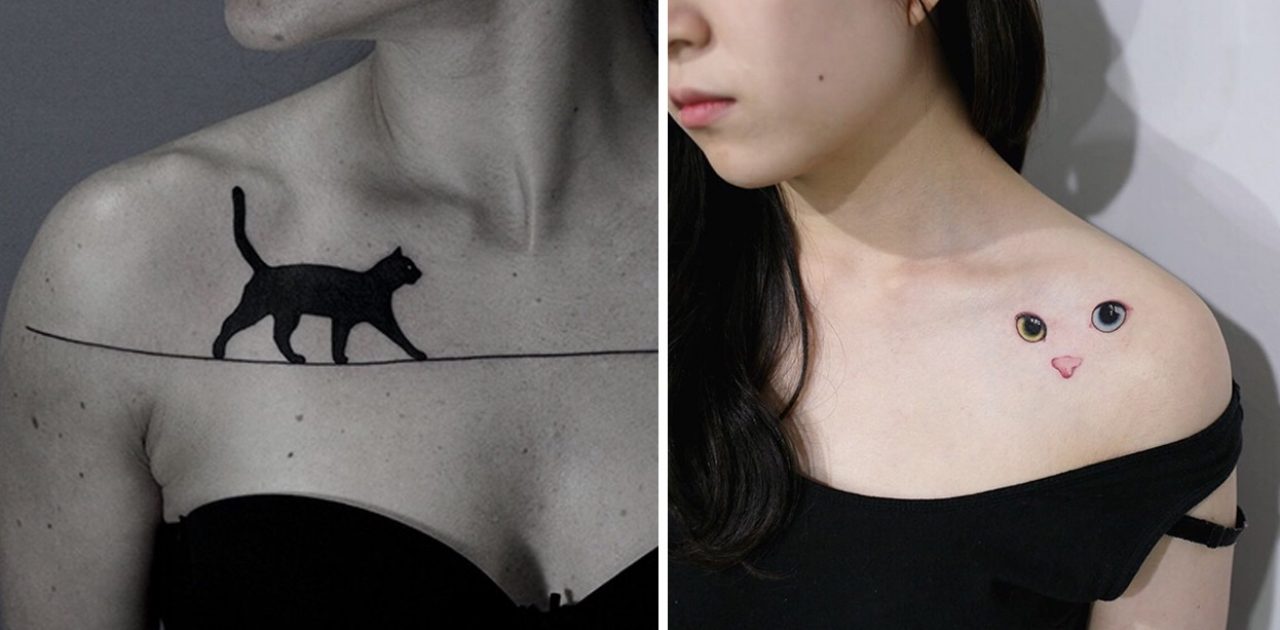 tatuagem de gato capa