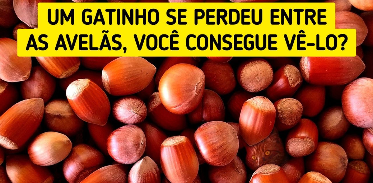 teste de cérebro capa