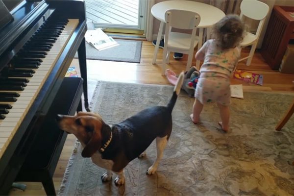 tocando piano 01