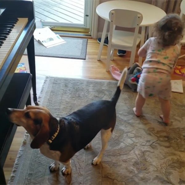 tocando piano 01