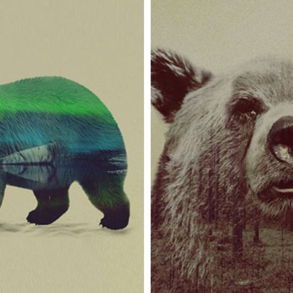 urso