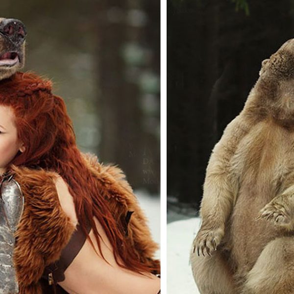urso