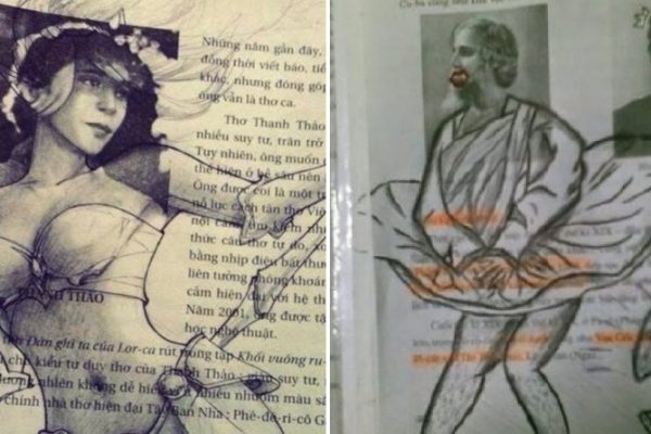 vandalismo em livros capa