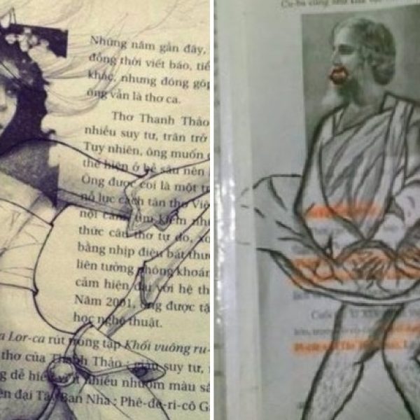 vandalismo em livros capa