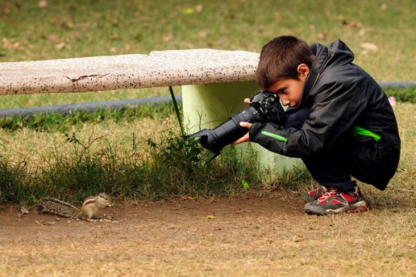 wildlife-photography-carlos-perez-naval-1