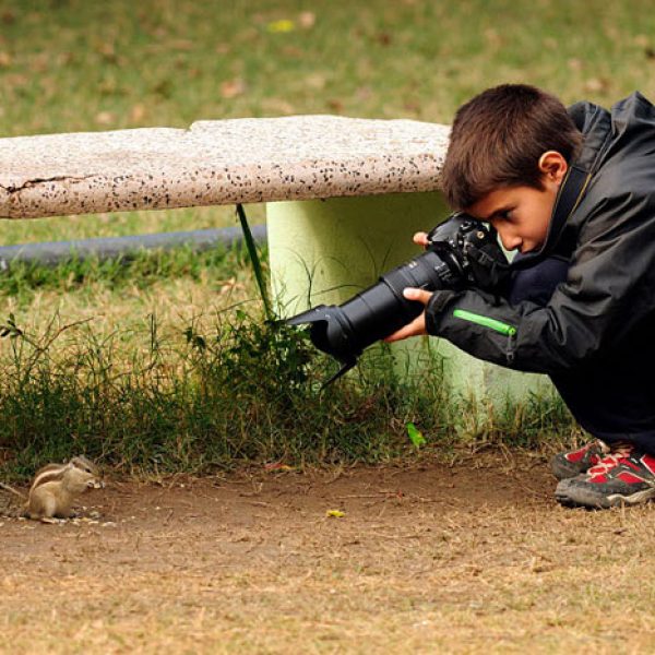 wildlife-photography-carlos-perez-naval-1